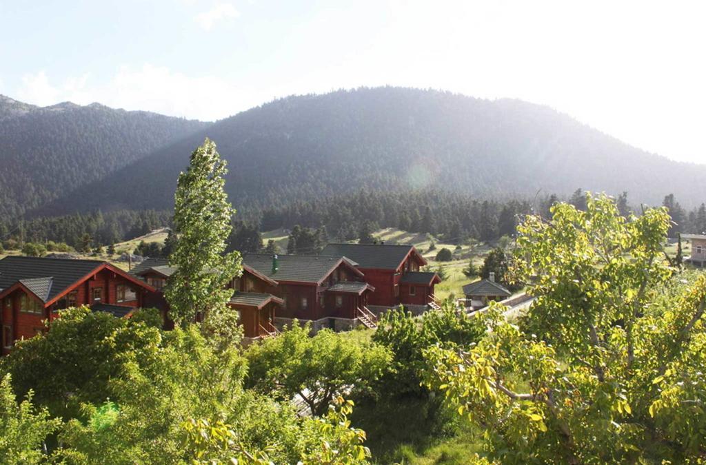 Boutique Hotel Skamnos 阿拉霍瓦 外观 照片