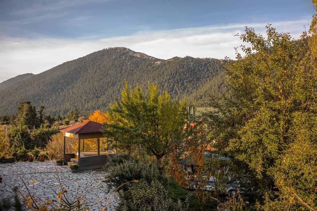 Boutique Hotel Skamnos 阿拉霍瓦 外观 照片